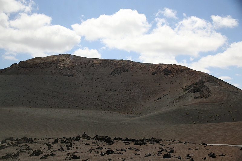 Kanary_2010 108